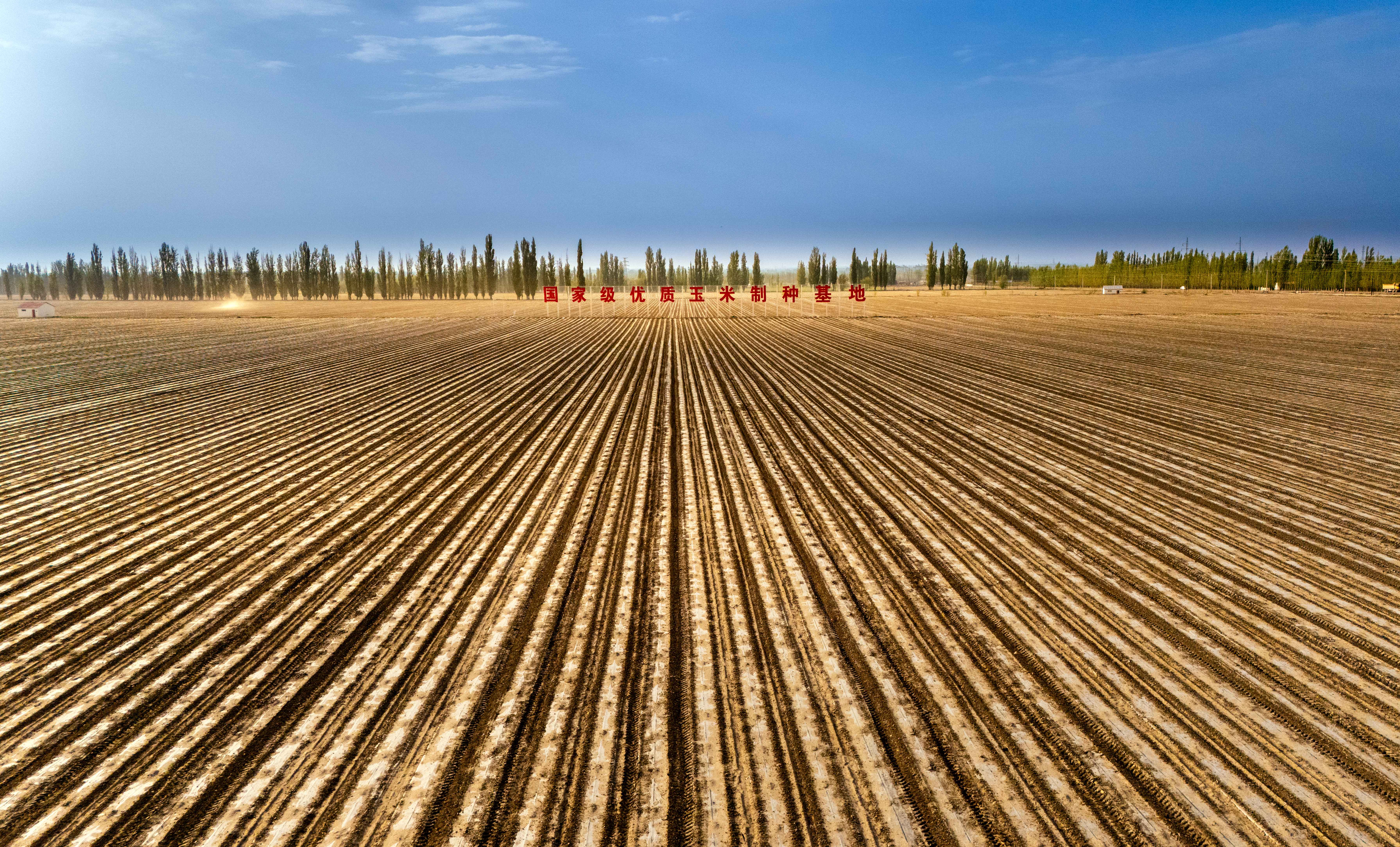 镜头记录霍尔果斯