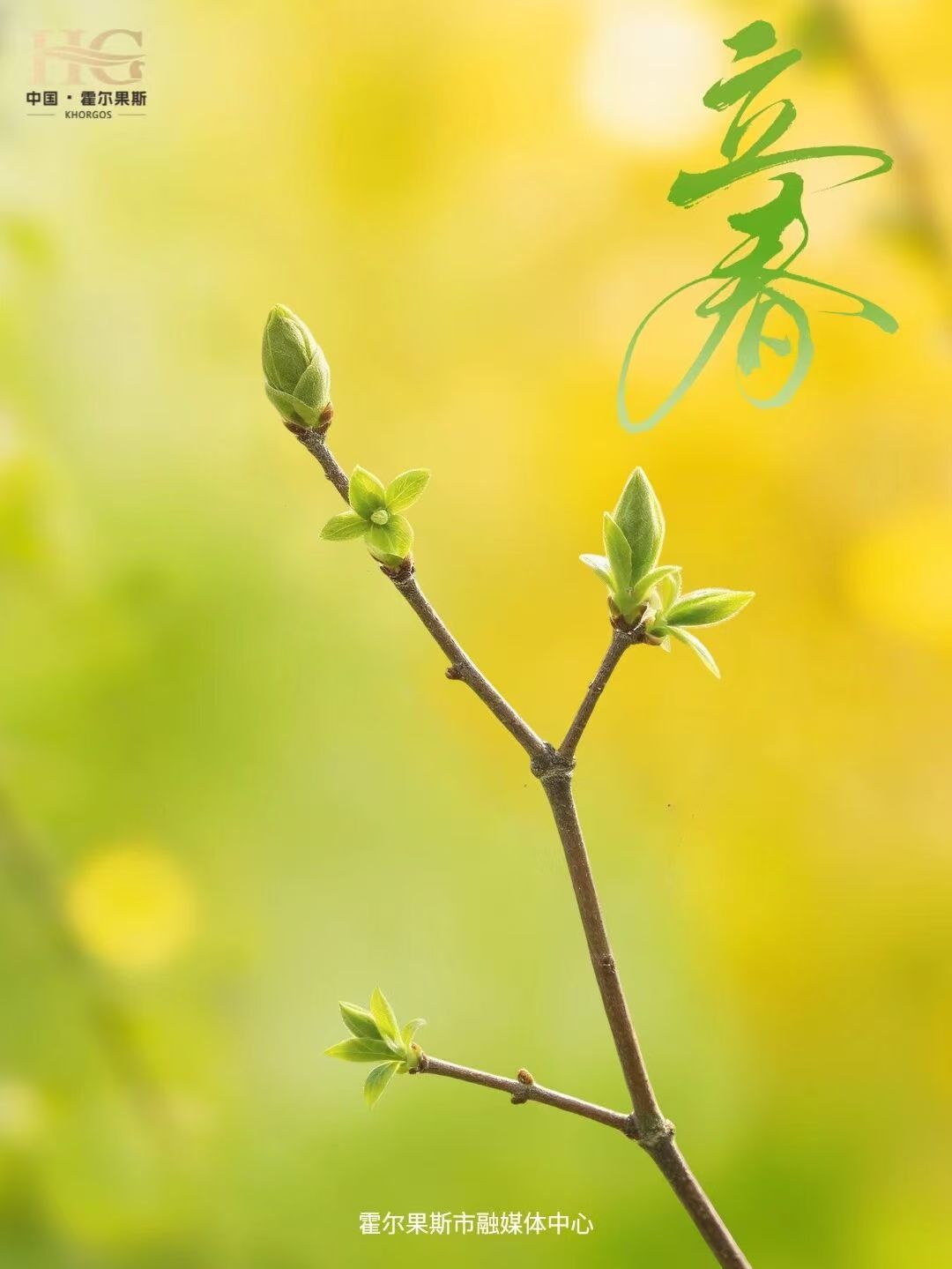 立春·霍尔果斯