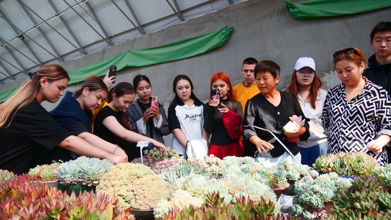 跨境电商研学活动 (3).jpg